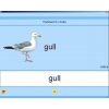 Английский язык. Освоение клавиатуры - «globural.ru» - Нижняя Тура