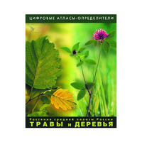 Растения средней полосы России "Травы и Деревья". (Цифровые атласы-определители) - «globural.ru» - Нижняя Тура
