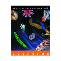 Зоология. Микрофотографии. (Цифровая база изображений) - «globural.ru» - Нижняя Тура