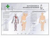 Электрифицированный стенд "Остановка кровотечения" - «globural.ru» - Нижняя Тура