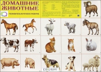 Демонстрационные карточки "Домашние животные" - «globural.ru» - Нижняя Тура