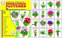 Демонстрационные карточки "Комнатные растения" - «globural.ru» - Нижняя Тура