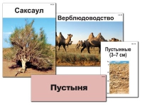 Модель-аппликация "Природные зоны России" - «globural.ru» - Нижняя Тура