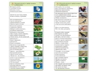 Комплект карточек (10) "Обучающий калейдоскоп. Природа" - «globural.ru» - Нижняя Тура
