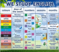Стенд "We study english" - «globural.ru» - Нижняя Тура