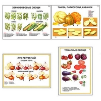 Плакаты ПРОФТЕХ "Ассортимент овощных культур" (12 пл, винил, 70х100) - «globural.ru» - Нижняя Тура
