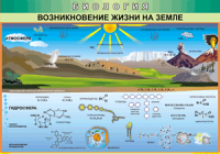 Таблица Возникновение жизни на Земле 1000*1400 винил - «globural.ru» - Нижняя Тура