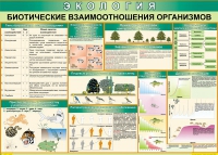 Таблица Биотические взаимоотношения организмов 1000*700 (винил) - «globural.ru» - Нижняя Тура