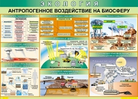 Таблица Антропогенное воздействие на биосферу 1000*700 винил - «globural.ru» - Нижняя Тура