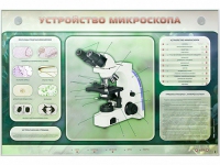Электрифицированный стенд "Устройство микроскопа и правила работы c ним" - «globural.ru» - Нижняя Тура