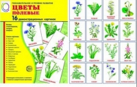 Демонстрационные карточки "Цветы полевые" - «globural.ru» - Нижняя Тура