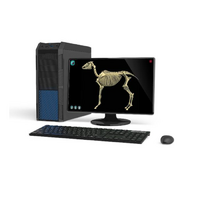 Макет масштабный «Скелет Лошади» Масштаб 1:2 - «globural.ru» - Нижняя Тура