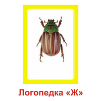 Логопедка "Ж" (логопедические карточки) - «globural.ru» - Нижняя Тура