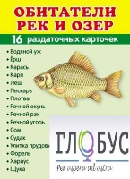 Раздаточные карточки "Обитатели рек и озер" - «globural.ru» - Нижняя Тура