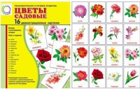 Демонстрационные карточки "Цветы садовые" - «globural.ru» - Нижняя Тура