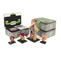 Учебный набор "Анатомия в деталях" - «globural.ru» - Нижняя Тура