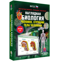 Наглядная биология. Человек. Строение тела человека - «globural.ru» - Нижняя Тура