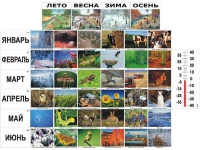 Фенологические наблюдения - «globural.ru» - Нижняя Тура