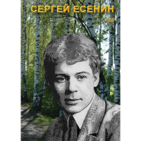 DVD Сергей Есенин - «globural.ru» - Нижняя Тура