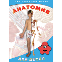 DVD  Анатомия для детей - «globural.ru» - Нижняя Тура