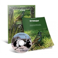 Электронное наглядное пособие «Птицы» - «globural.ru» - Нижняя Тура