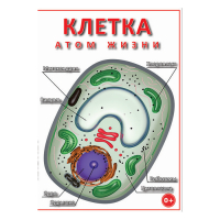 DVD Клетка - "атом жизни" - «globural.ru» - Нижняя Тура