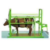 Наглядный макет «Методы и устройства для фиксации КРС» - «globural.ru» - Нижняя Тура