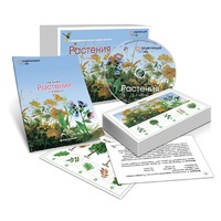 Комбинированное наглядное пособие «Растения» - «globural.ru» - Нижняя Тура