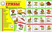 Демонстрационные карточки  "Грибы съедобные и не съедобные" - «globural.ru» - Нижняя Тура