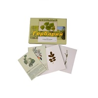 Гербарий "Деревья и кустарники" (22 вида, с иллюстрациями) - «globural.ru» - Нижняя Тура