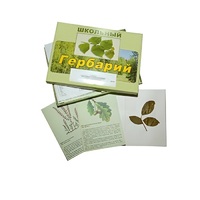Гербарий "Дикорастущие растения" (30 видов, с иллюстрациями) - «globural.ru» - Нижняя Тура