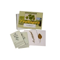 Гербарий "Лекарственные растения" (22 вида, с иллюстрациями) - «globural.ru» - Нижняя Тура