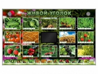 Комплект оборудования "Живой уголок" (растения) - «globural.ru» - Нижняя Тура