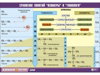 Таблица демонстрационная "Сравнение понятий изомер и гомолог" (винил 100х140) - «globural.ru» - Нижняя Тура