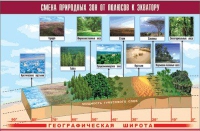 Таблица демонстрационная "Смена природных зон от полюсов к экватору" (винил 70x100) - «globural.ru» - Нижняя Тура
