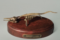 Модель скелета ихтиозавра Ichthyosaurus - «globural.ru» - Нижняя Тура