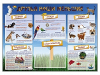 Стенд-уголок "Друзья наши меньшие" - «globural.ru» - Нижняя Тура