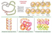 Плакаты и таблицы по общей химии - «globural.ru» - Нижняя Тура