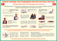 Таблица Порядок действий при переломах конечностей 1000*1400 винил - «globural.ru» - Нижняя Тура