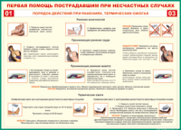 Таблица Порядок действий при ранениях и термических ожогах	 1000*1400 винил - «globural.ru» - Нижняя Тура