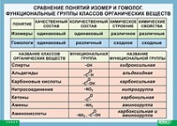 Химия. Сравнение понятий изомер и гомолог. Функциональные группы классов органических веществ (винил) - «globural.ru» - Нижняя Тура