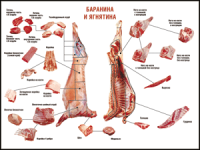 Правила разделки мясных туш "Баранина и ягнятина" 1000*1400 винил - «globural.ru» - Нижняя Тура