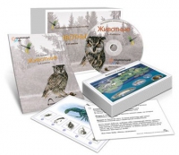 Комбинированное наглядное пособие «Животные» - «globural.ru» - Нижняя Тура