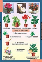 Окружающий мир 1 класс (комплект таблиц) - «globural.ru» - Нижняя Тура