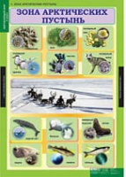 Окружающий мир 4 класс (комплект таблиц) - «globural.ru» - Нижняя Тура