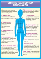Стенд "Снятие мерок" (вариант 2) - «globural.ru» - Нижняя Тура