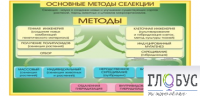 Стенд "Методы селекции и биотехнологии" - «globural.ru» - Нижняя Тура