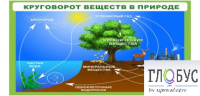 Стенд "Круговорот веществ" - «globural.ru» - Нижняя Тура