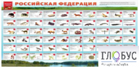 Стенд "Красная книга РФ" - «globural.ru» - Нижняя Тура