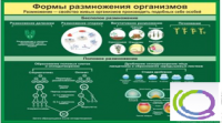 Стенд "Формы размножения организмов" - «globural.ru» - Нижняя Тура
